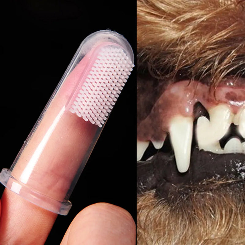 Ferramenta de escova de silicone pasta de dente cães macio animal de estimação dedo escova de dentes higiene dental para camas de cães médios