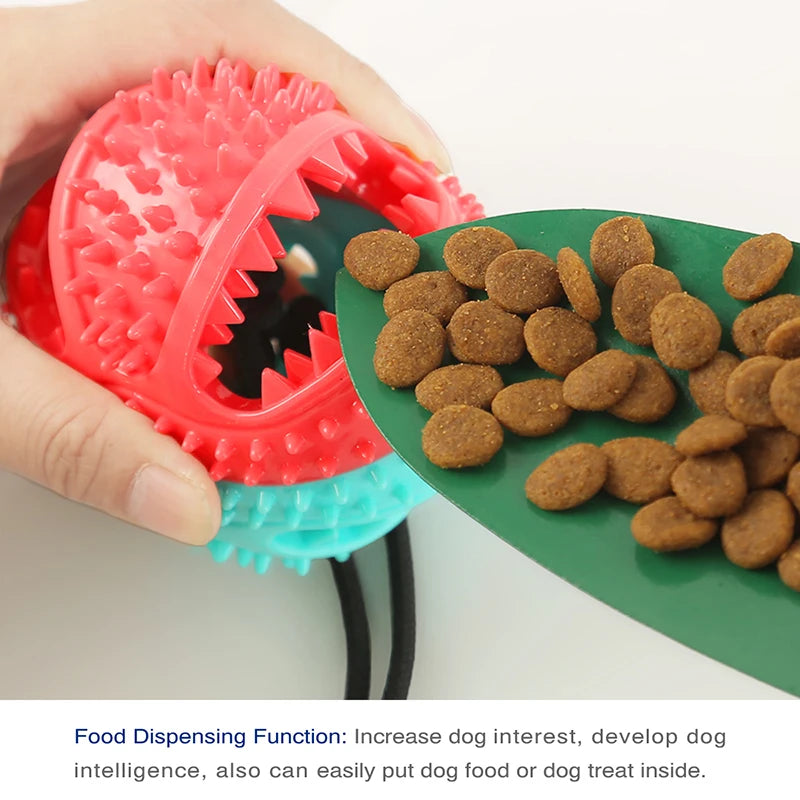 Grande bola de cachorro brinquedos ventosa cordas interativo vazamento alimentador lento mastigar brinquedo dente limpo golden retriever grandes suprimentos para animais de estimação